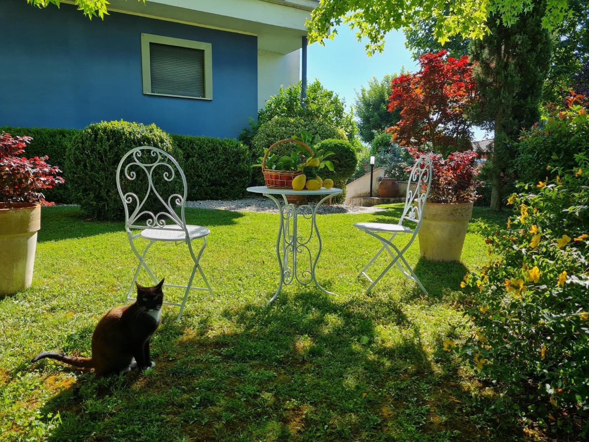 Villa Lanni Касино Екстериор снимка